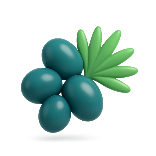 Ikon 3D Saw Palmetto (Serenoa repens), bahan herbal Prostinol untuk kesehatan prostat